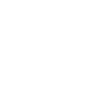 twitter link icon